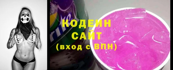 ECSTASY Бородино