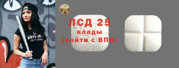 ECSTASY Бородино