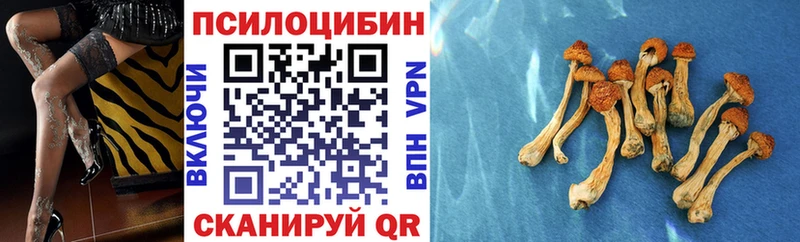 даркнет сайт  Вуктыл  omg сайт  Псилоцибиновые грибы мицелий 